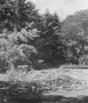 Parkrészlet 1950 körül